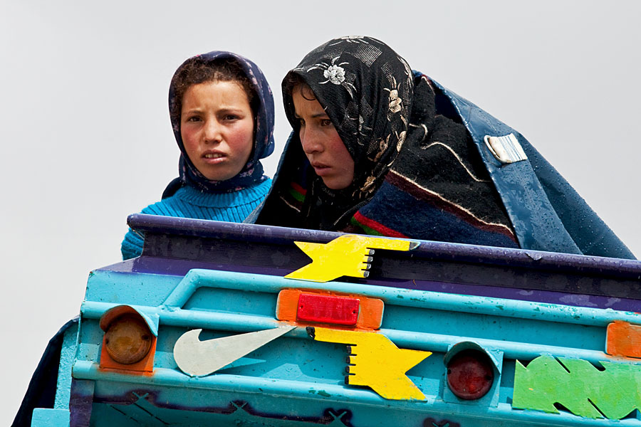  Seeking shelter for the heavy rain on the roof of the truck